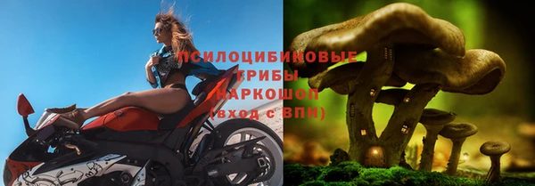 скорость Арсеньев