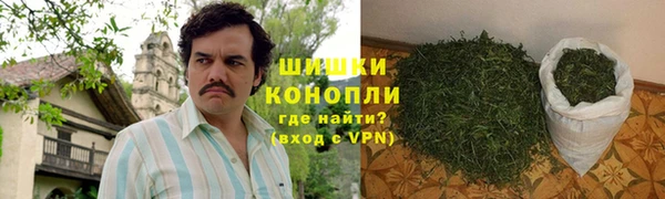 амф Осташков