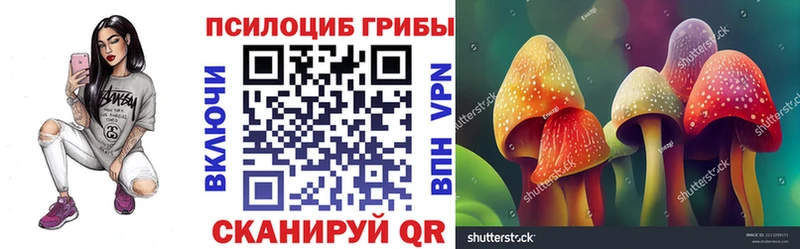 даркнет сайт  Мурманск  Псилоцибиновые грибы Psilocybine cubensis 