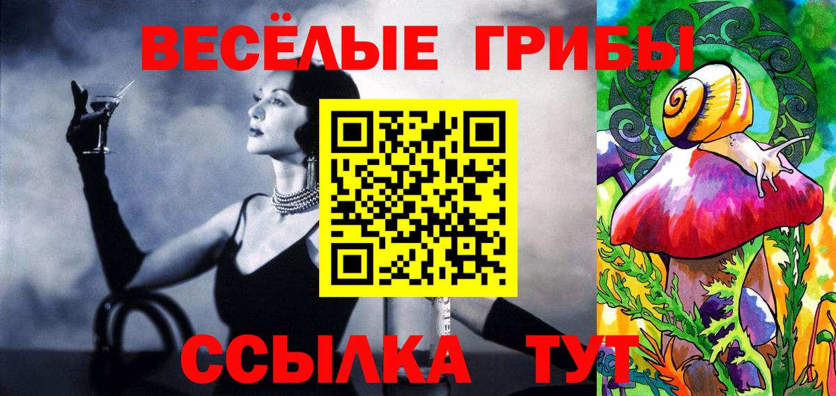 Галлюциногенные грибы Psilocybine cubensis Мурманск