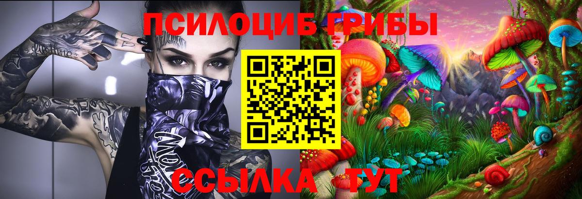 Мурманск  Псилоцибиновые грибы прущие грибы  закладка  Вход с VPN 